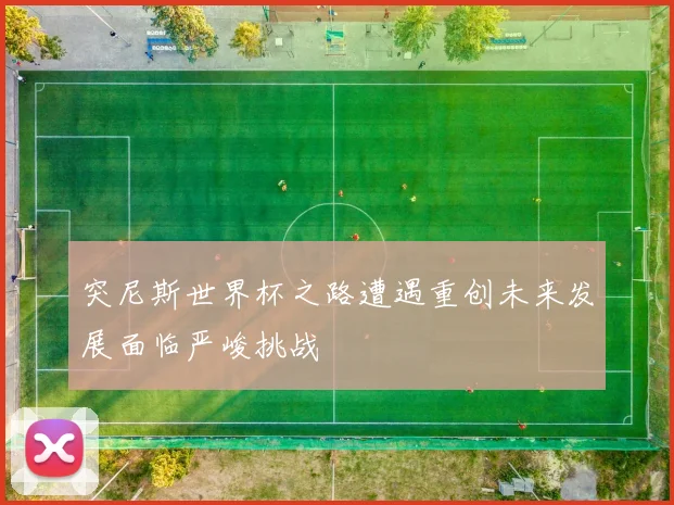 突尼斯世界杯之路遭遇重创未来发展面临严峻挑战